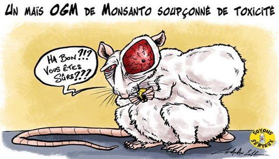 OGM alerte mondiale
